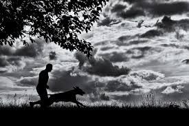 Do's and Don'ts of Running with Your Dog